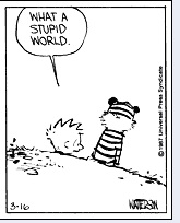 Stupid World Stupid World